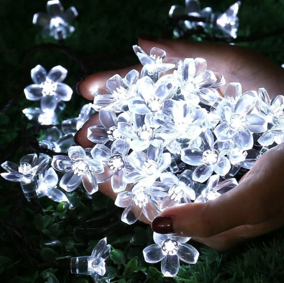 Inspiration Combo of 6 Flowers Light- 16 LED light in each light (yellow, White, Blue, Green, Multi and Pink) - Homely Arts