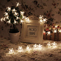 Combo of Silicone Blooming Flower Fairy String Lights (Warm White and Pink Bulbs) - The Gears