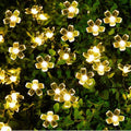 Combo of Silicone Blooming Flower Fairy String Lights (Warm White and Pink Bulbs) - The Gears