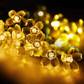 Combo of Silicone Blooming Flower Fairy String Lights (Warm White and Pink Bulbs) - The Gears
