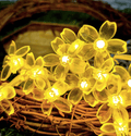 Combo of Silicone Blooming Flower Fairy String Lights (Yellow, White and Red) - The Gears