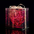 Glowing LED Heart Gift Box ❤️🎁 - The Gears
