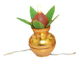 Made in India Light || String Light || 21 LED || Diwali Light for Decoration || 2 Meter (Kalash Light) - The Gears