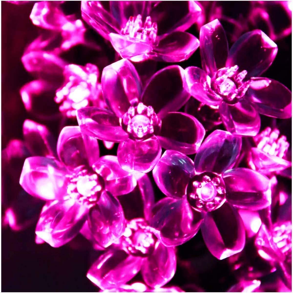 Combo of Silicone Blooming Flower Fairy String Lights (Warm White and Pink Bulbs) - Homely Arts