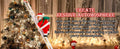 Santa Claus Climbing Ladder with Musical Up & Down Show - The Gears