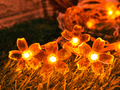 Silicone Blooming Flower Fairy String Lights (Orange Bulbs) - The Gears