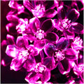 Silicone Flower Fairy String Lights (14 Pink Bulbs) - The Gears