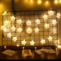 Smiling Star Led Serial String Lights - The Gears