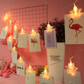 Star Photo Clip LED Lights (Warm White Bulbs) - The Gears