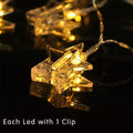 Star Photo Clip LED Lights (Warm White Bulbs) - The Gears