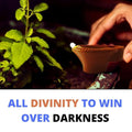 Water Sensor LED Brown Diyas Candle Eco - Friendly Diya, Battery Operated - The Gears