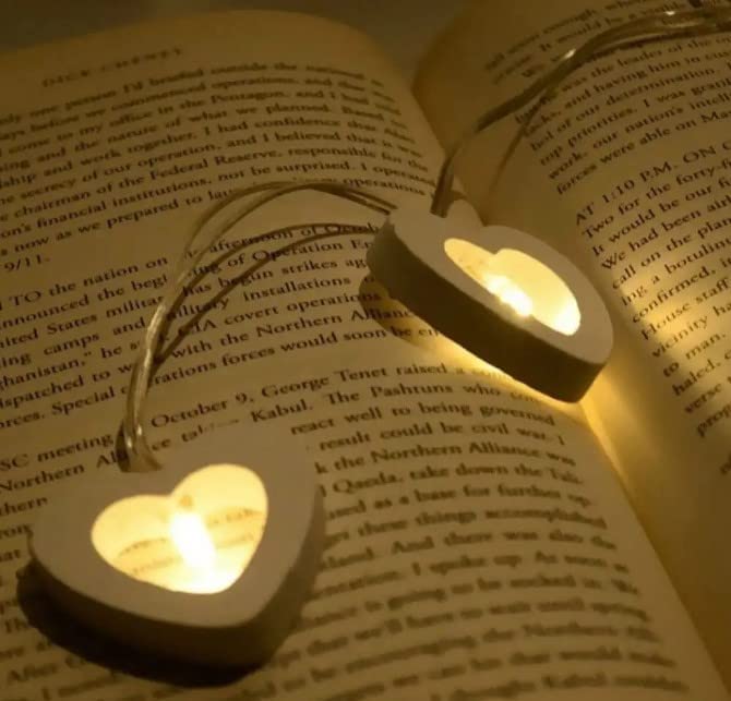 Wooden Heart String Lights 10 LED Hearts - The Gears